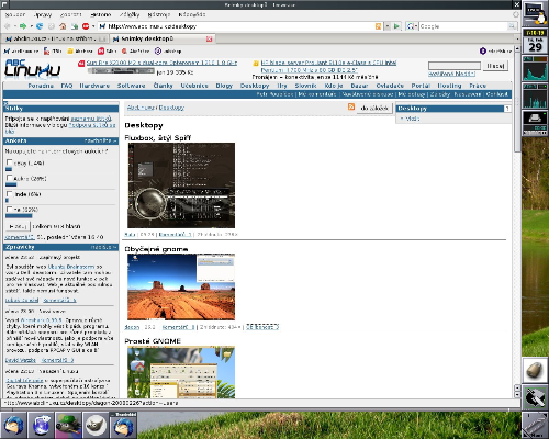 Debian Etch + WindowMaker