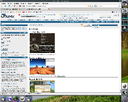 Debian Etch + WindowMaker