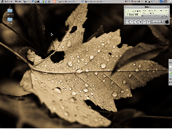 ubuntu 10.04+gnome