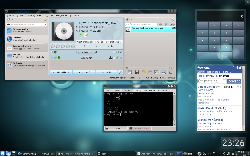 Kubuntu 11.04