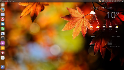 Ubuntu 13.04