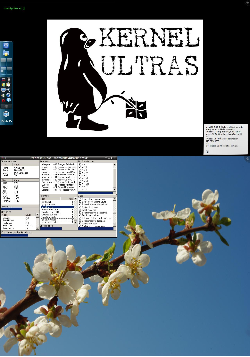 Kernel Ultras