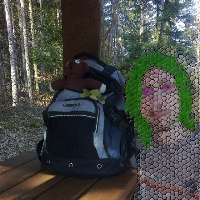 picpicpic, obrázek 3