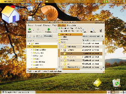 GNOME 2.18, Ia Ora Orange, Glossy, eXperience