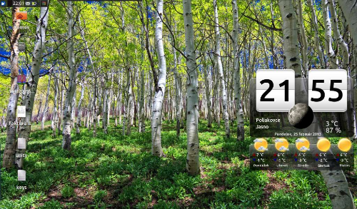 Xubuntu 12.10