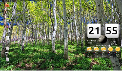 Xubuntu 12.10