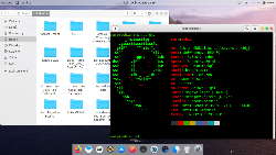 Debian Bullseye pro 