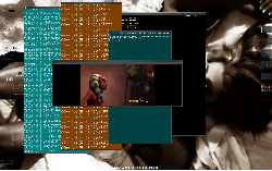OS - Debian or NOT? :)