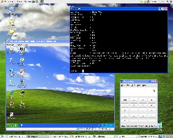 Debian XP :-)