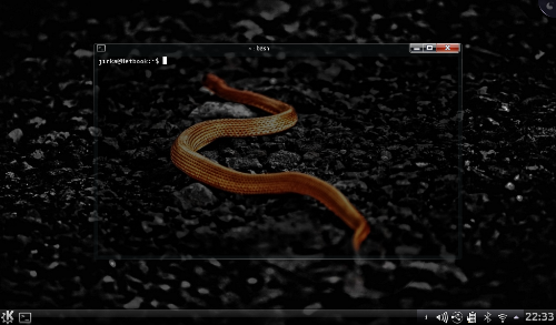 Orange Snake