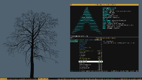Arch 