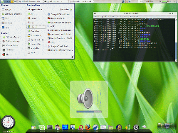 Linux Mint 4.0 (gnome)