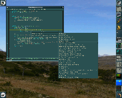 Debian Etch - WindowMaker - patagonia theme