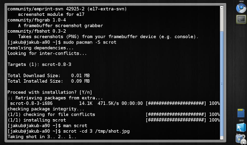 Compiz + gnome-panel (DockBarX applet)