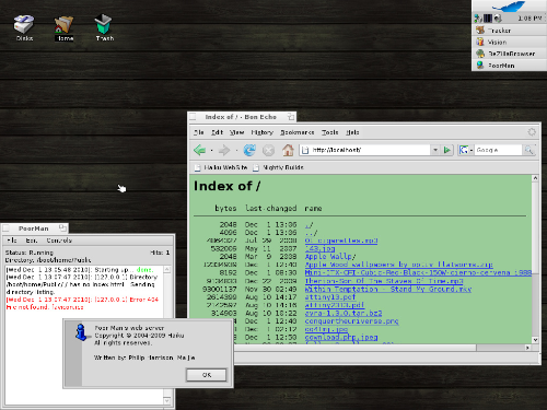 My Desktop with Shared Files.