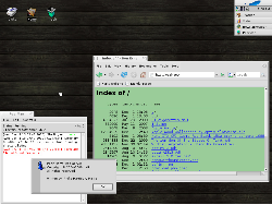 My Desktop with Shared Files.