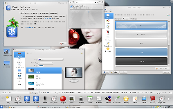 Archlinux KDE4.4