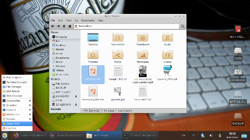 MiniOS Xfce - Thinkpad x390