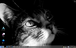 Simplicity and beauty itself: KDE 4.2