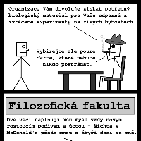 KOMIX - Důležitý člen týmu, obrázek 7