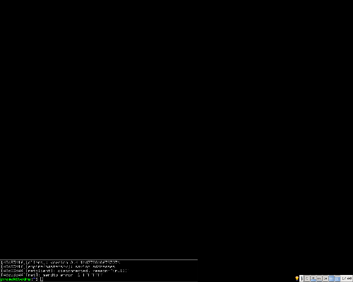 evilwm