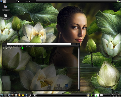 XFCE+SlicknesS-black