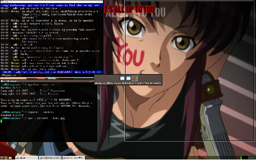 openbox+lxpanel+urxvt+black lagoon :)