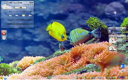 Kubuntu 10.04 Akvarium