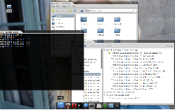 Compiz + Emerald + Xfce 4.6