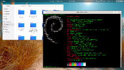 Debian 14 + GNOME