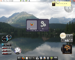 AWN+Screenlets+Gnome-do