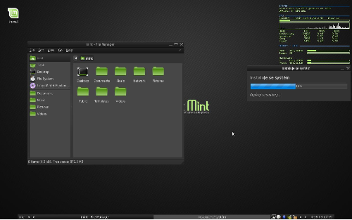 Fluxbox v Minte