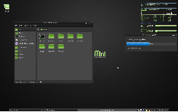 Fluxbox v Minte