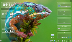 Chameleon