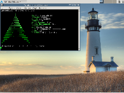 Arch & Xfce 4.6