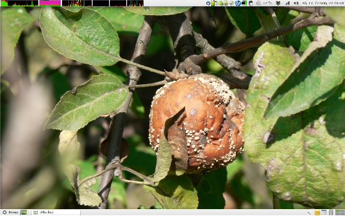 Obyčejný LinuxMint11