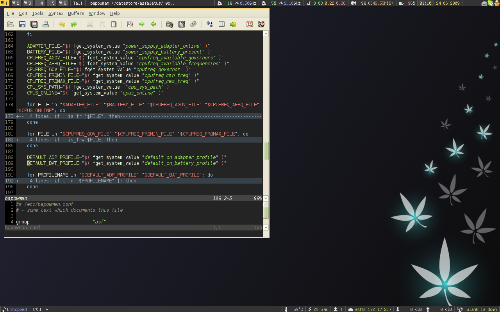 Xmonad + dzen2 + conky + novy wall + gvim