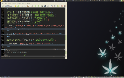 Xmonad + dzen2 + conky + novy wall + gvim