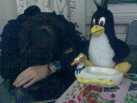 LinuxAlt, obrázek 17