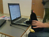 LinuxAlt, obrázek 4