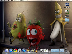 Mac OS X Snow Leopard