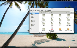 Fedora 15 + GNOME 3.0