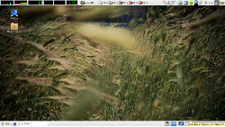 LinuxMint