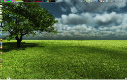 Linux Mint 10 GNOME