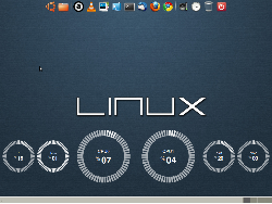 Ubuntu 10.10 (32 bitu)