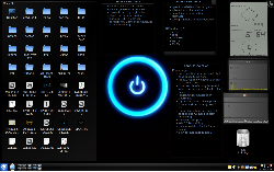4.2.1 S gentoo