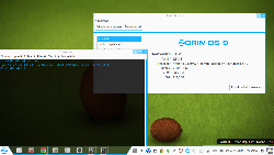 ZORIN OS9