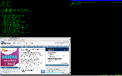 FreeBSD + WMII