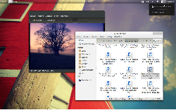 Ubuntu 11.10 a Gnome Shell