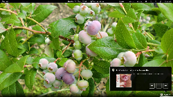 GNOME 3.4.2